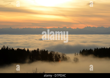 Blick vom Hoechsten in Oberschwaben, die Allgäuer Alpen, in Nebel gehüllten Seebecken über Stockfoto