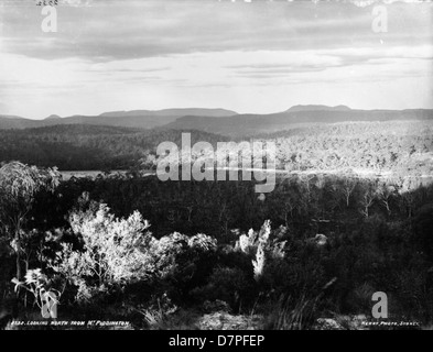 Dieses Schwarzweiß-Foto erfasst die Landschaft vom Mount Piddington in Australien und zeigt den weiten Horizont und die bewaldeten Gebiete. Das Bild hebt die natürliche Schönheit und die weitläufigen Ausblicke auf die australische Wildnis hervor. Stockfoto