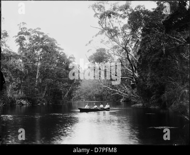 Vier Männer im Ruderboot am Fluss möglicherweise Lane Cove Stockfoto