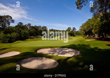 Abgebildet ist der Stadium Course des TPC Sawgrass in Ponte Vedra Beach, Florida Stockfoto