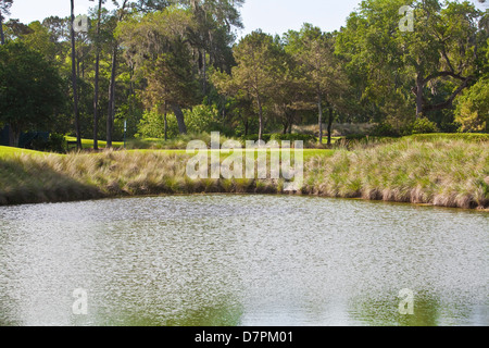 Abgebildet ist der Stadium Course des TPC Sawgrass in Ponte Vedra Beach, Florida Stockfoto