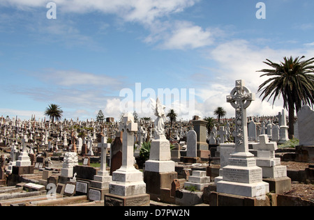 Skulptur auf dem schönen Waverley Cemetery in Australien Stockfoto