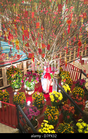 dh Jumbo Floating Restaurant ABERDEEN HONGKONG Chinesisches Neujahr Blumen Möbel Orangenbäume und Dekorationen Blume Stockfoto