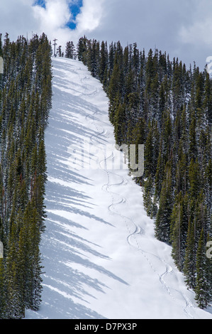 Monarch Bergbahnen für die Saison geschlossen, aber ein Wanderer und seinen Hund linken Spuren in den frischen Schnee können auf Gunbarrel Trail. Stockfoto