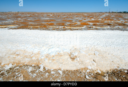 See, verunreinigt durch chemische Abfälle, Krasnoperekopsk, Krim, Ukraine, Osteuropa Stockfoto