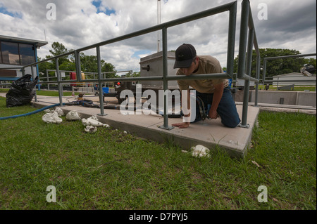 Chemische Mörtel füllen die Hohlräume unter einigen Betonplatten auf die Burrell Verriegelung und Verdammung in Leesburg, Florida installiert wird Stockfoto