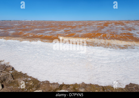 See, verunreinigt durch chemische Abfälle, Krasnoperekopsk, Krim, Ukraine, Osteuropa Stockfoto