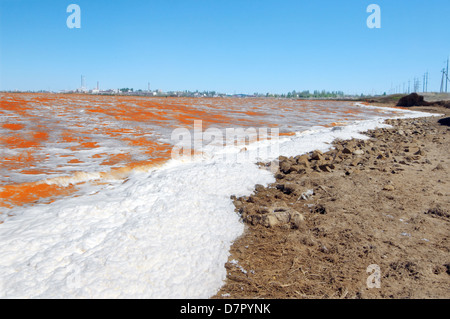 See, verunreinigt durch chemische Abfälle, Krasnoperekopsk, Krim, Ukraine, Osteuropa Stockfoto