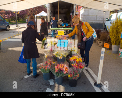 Bauern Markt Grand Army Plaza Brooklyn NY Stockfoto