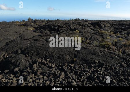 Felder der Lavaströme bis zum Meer auf der big Island von Hawaii Stockfoto