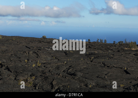 Felder der Lavaströme bis zum Meer auf der big Island von Hawaii Stockfoto