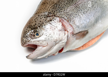 Lachs. Goldene Forelle Filet Fisch. Frischer Lachs. Filet. Stockfoto