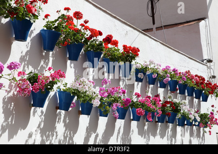 Haus dekoriert mit Blumentöpfen in Córdoba, Andalusien Spanien Stockfoto