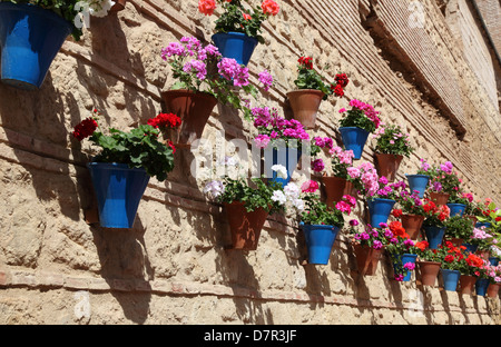 Haus dekoriert mit Blumentöpfen in Córdoba, Andalusien Spanien Stockfoto