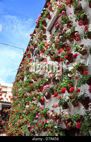 Haus dekoriert mit Blumentöpfen in Córdoba, Andalusien Spanien Stockfoto