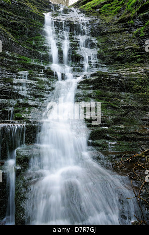 Wasser-Its-halsbrecherischen Wasserfall, Warren Woods, Radnor Wald, Wales Stockfoto