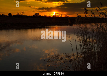 Englischer Fluss bei Sonnenuntergang.  Bridgwater und Taunton Kanal in Somerset England UK. Stockfoto