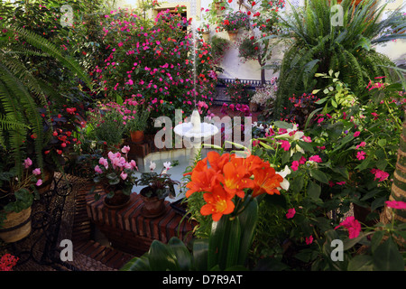 Schönen andalusischen Patio mit Brunnen in Córdoba, Andalusien Spanien Stockfoto