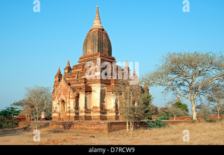 Rote Ziegel Tempel in den staubigen Ebenen von Bagan Myanmar (Burma) Stockfoto