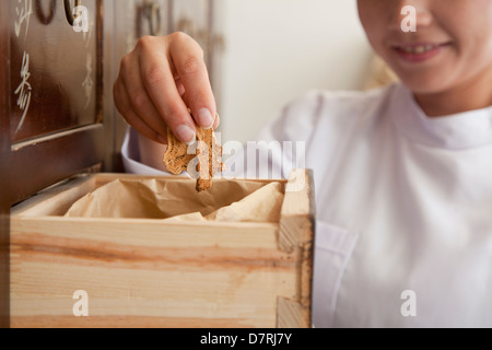Arzt nehmen Kraut für traditionelle chinesische Medizin aus einer Schublade Stockfoto