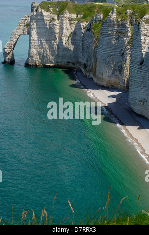 Falaise D´aval. Sea Cliff. Etretat. Côte d ' D´Albatre. Haute-Normandie. Normandie. Frankreich Stockfoto