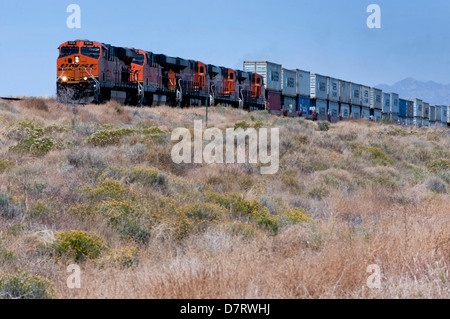 Ein Zug von der BNSF Railway Linie über der kalifornischen Mojave-Wüste, in der Nähe der Stadt Amboy Reisen. Stockfoto