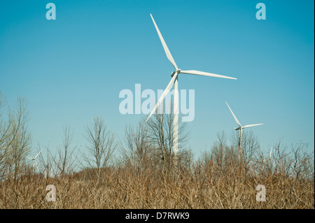 Windkraftanlagen in einem Feld auf Wolfe Island, einer Insel der tausend in den St. Lawrence River, Ontario, Kanada Stockfoto