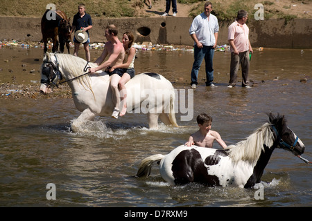 Mensch und Pferd in den Fluss auf der Messe Appleby, ein jährliches Treffen der Zigeuner und Traveller Gemeinschaften in Cumbria, England. Stockfoto