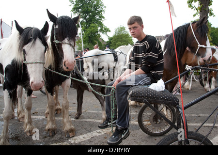 Ein Junge mit seinen Pferden bei Appleby Fair, ein jährliches Treffen der Zigeuner und Traveller Gemeinschaften aus Großbritannien und Irland in Cumbria Stockfoto