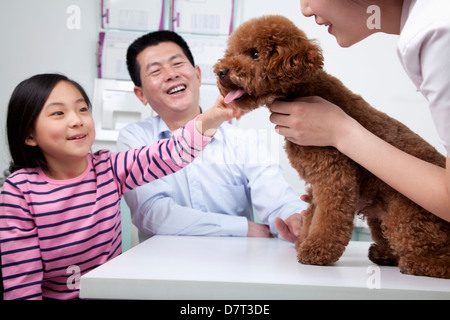 Frau und Mädchen mit Hund im Büro des Tierarztes Stockfoto