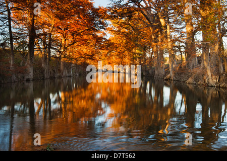 Guadalupe River, Texas Hill Country, Herbst. Stockfoto