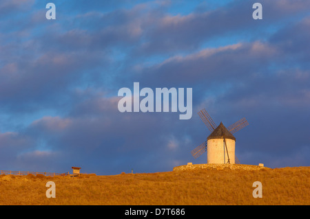Consuegra, Windmühlen, Provinz Toledo, Route des Don Quijote, Castilla-La Mancha, Spanien Stockfoto