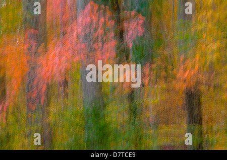 USA, Virginia, Great Falls Park. Zusammenfassung der Herbstfarben auf Bäumen. Stockfoto