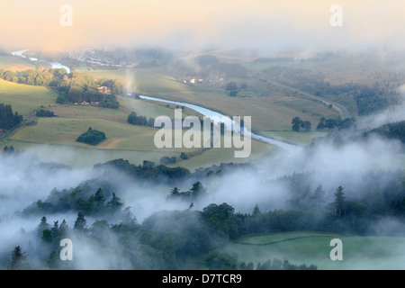 Sommermorgen Nebel über den Tweed Vally in der Nähe von Walkerburn Stockfoto