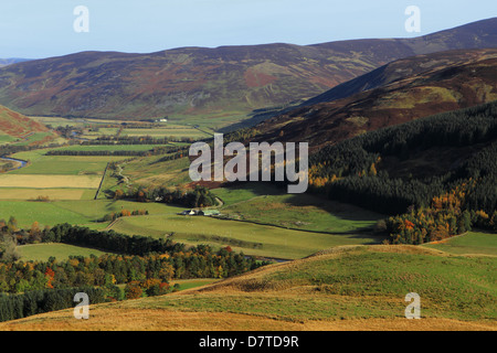 Obere Tweeddale-Tal in den Scottish Borders Stockfoto