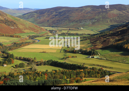 Obere Tweeddale-Tal in den Scottish Borders Stockfoto