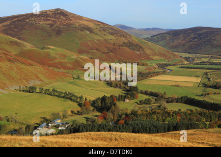 Obere Tweeddale-Tal in den Scottish Borders Stockfoto