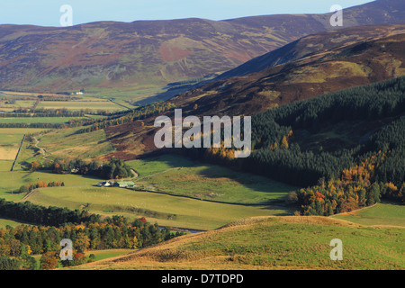 Obere Tweeddale-Tal in den Scottish Borders Stockfoto