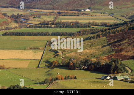 Obere Tweeddale-Tal in den Scottish Borders Stockfoto