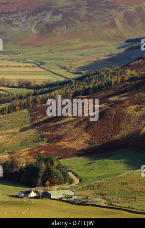 Obere Tweeddale-Tal in den Scottish Borders Stockfoto