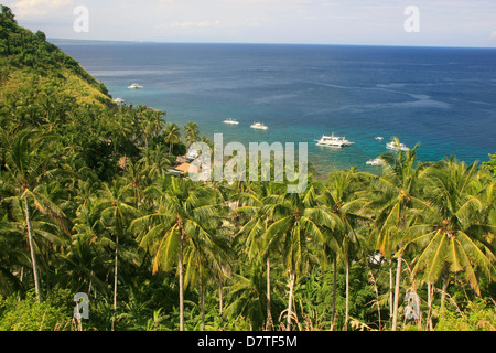 APO Island, Philippinen, Südostasien Stockfoto