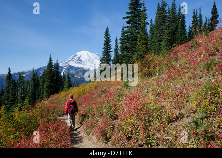 USA, Washington State, Mount-Rainier-Nationalpark, Mount Rainier, Blick vom Naches Schleife in der Nähe von Chinook Pass Stockfoto