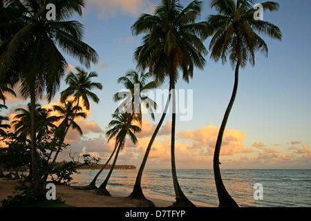 Las Terrenas Strand bei Sonnenuntergang, Halbinsel Samana, Dominikanische Republik Stockfoto