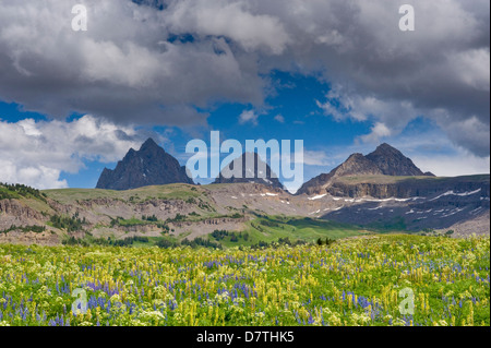 Jedediah Smith Wildnis, Teton Mountains in Wyoming. Alaska-Becken Regal, in der Nähe von Driggs, Idaho Caribou Targhee National Forest. Stockfoto