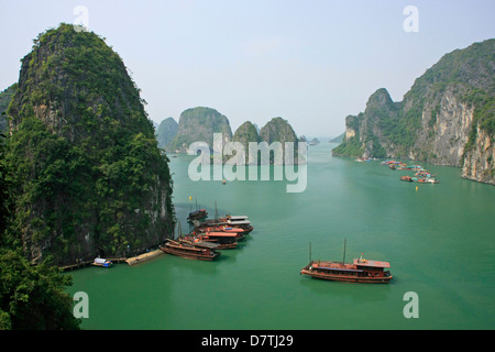 Halong Bucht, Vietnam Stockfoto