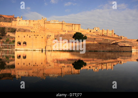 Amber Fort spiegelt sich in Maota See, Jaipur, Rajasthan, Indien Stockfoto