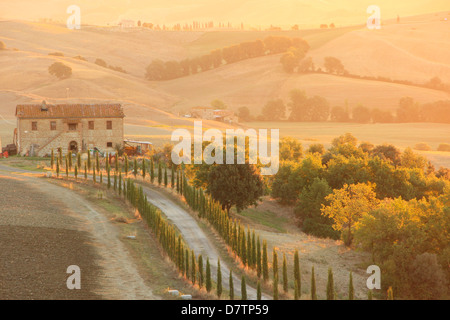 Country-Szene, Toskana, Italien Stockfoto