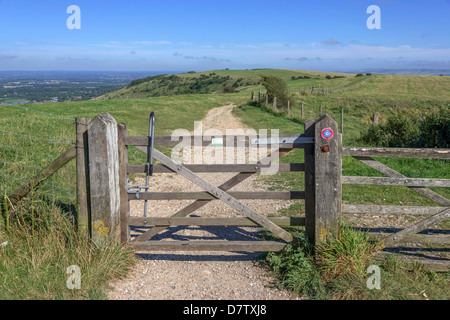 Blick von der South Downs Way Wanderweg, Sussex, England, Vereinigtes Königreich Stockfoto