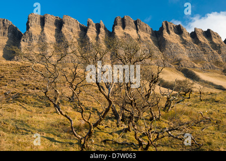 Teil der Nordwand des Benbulben, County Sligo, Irland, einer der kultigsten Naturgegebenheiten Irlands Stockfoto