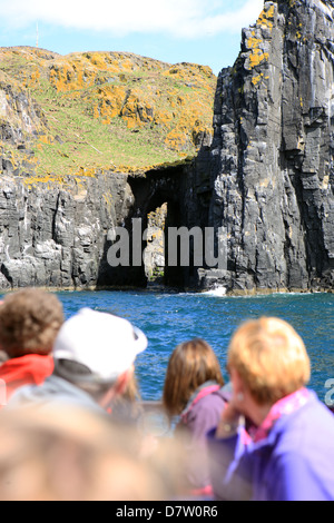 Touristen auf einer Bootstour betrachten die Vögel auf den Klippen auf der Isle of May in den Firth of Forth in Schottland Stockfoto